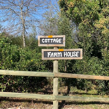 פלטנברג ביי Trinity Farm Ocean View Cottage מראה חיצוני תמונה