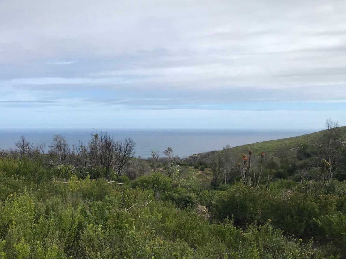 פלטנברג ביי Trinity Farm Ocean View Cottage מראה חיצוני תמונה